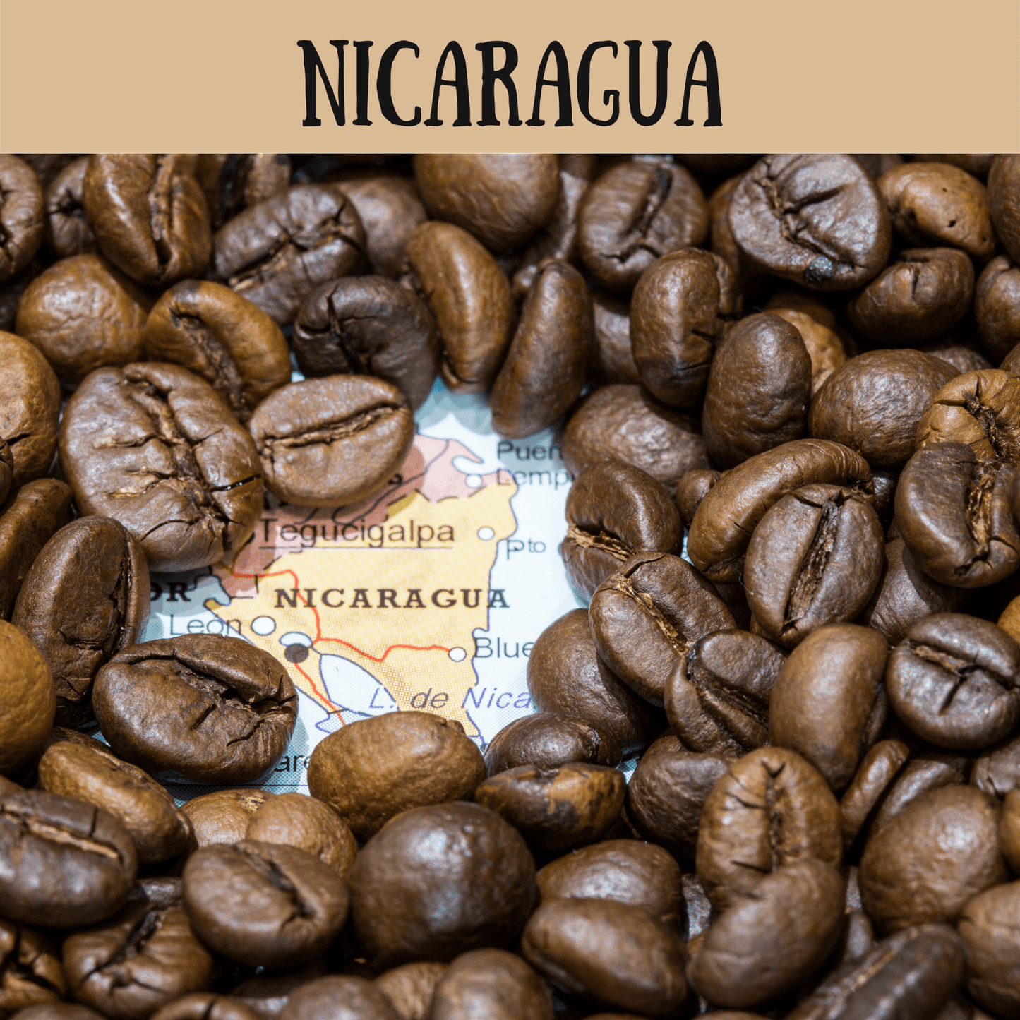 Nicaragua - Levata Caffè